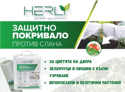 Как да предпазим растенията от слана през есента