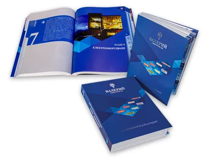 Prezentarea Secțiunii Echipamente Electrice