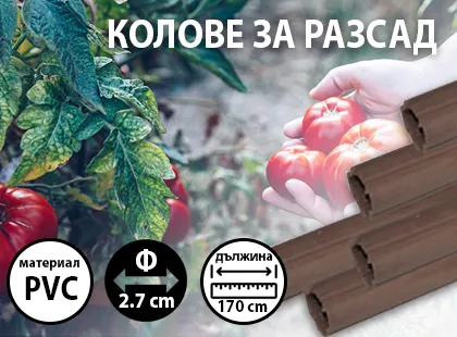 Cum să întăresc răsadurile?