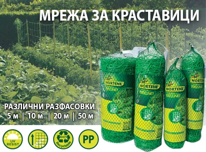 Как да отглеждаме краставици, за да получим високи добиви?