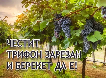 Честит Трифоновден! Честит Трифоновден!